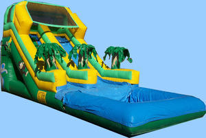 tropical slide with pool tropical slide with pool